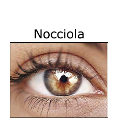 Risposta D