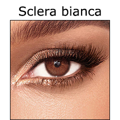 Risposta D